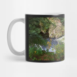 Bodetal, Bode, river, brook,, Thale, Harz, Germany, autumn Mug